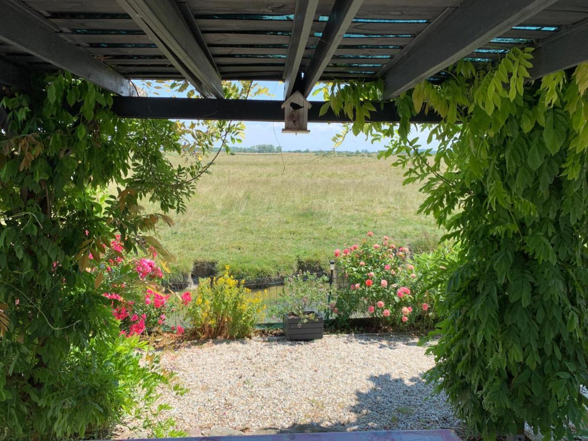 Chalet Bord De Mer 6 Couchages Villa Merville-Franceville-Plage Eksteriør billede
