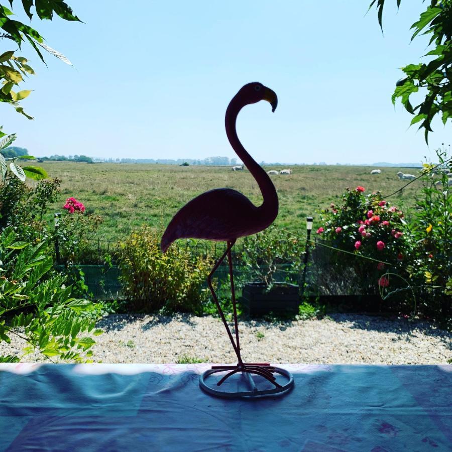 Chalet Bord De Mer 6 Couchages Villa Merville-Franceville-Plage Eksteriør billede